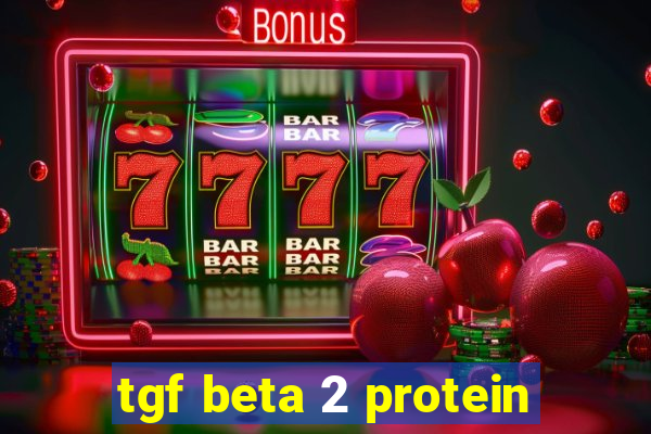 tgf beta 2 protein